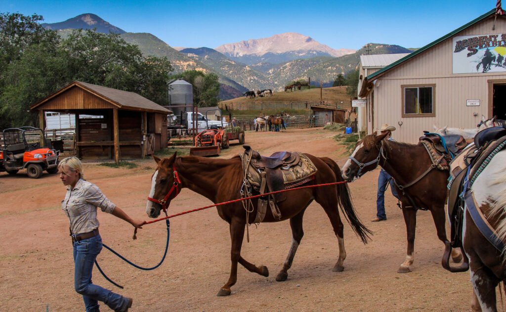 Academy Riding Stables