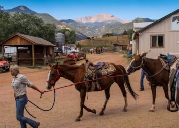 Take Flight with Wonder: Soaring Above the Clouds at the Colorado Springs Balloon Festival