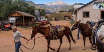 Take Flight with Wonder: Soaring Above the Clouds at the Colorado Springs Balloon Festival