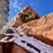 Breathe Deep, Climb High: Unveiling the Enchantment of Red Rock Canyon Open Space
